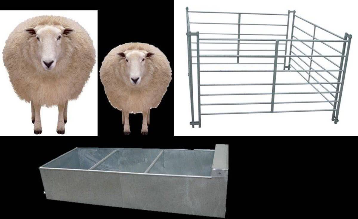 Britains Big Farm - Schapen, Schutting en Voederbak