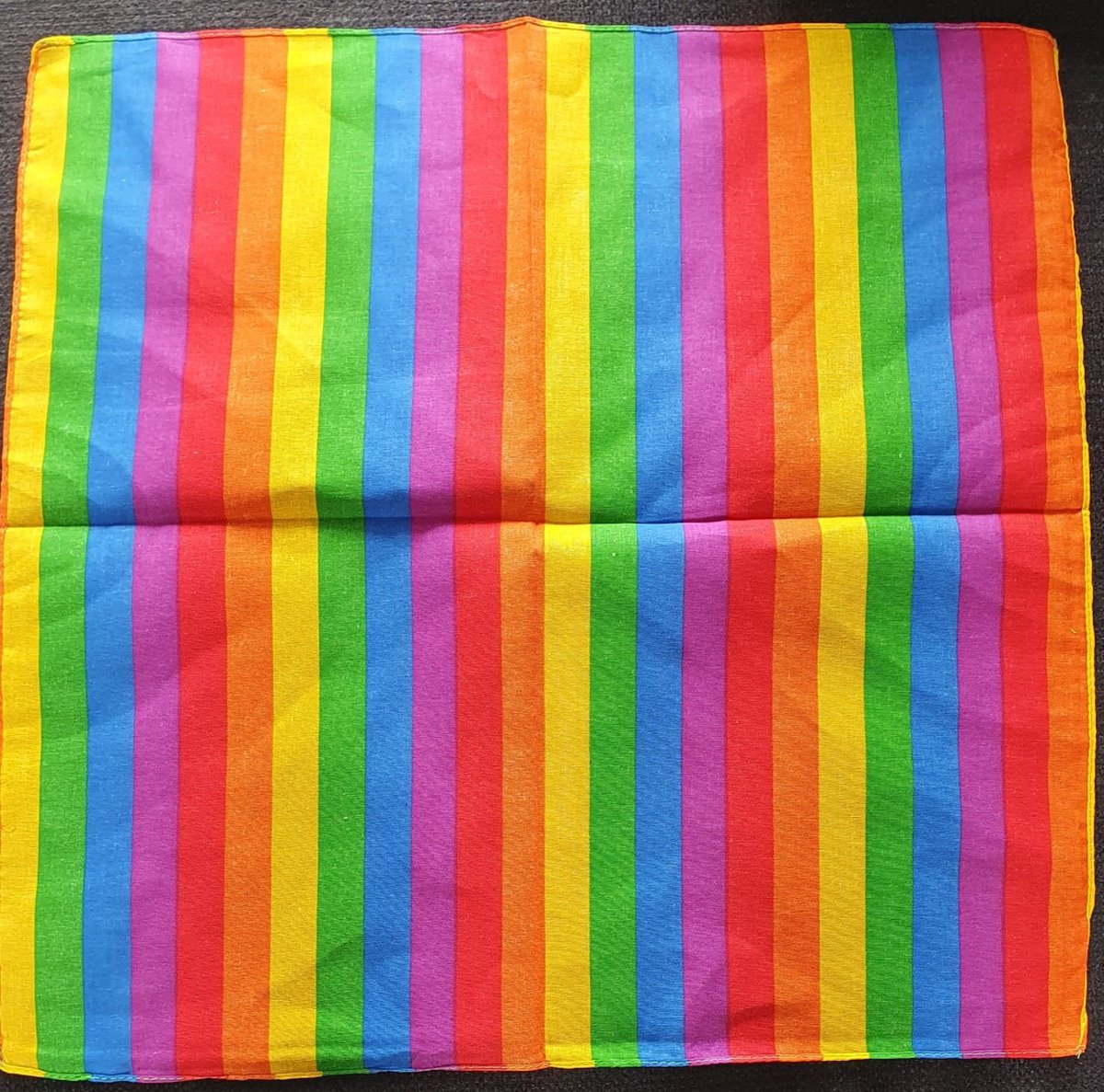 4 Stuks -  Pride Bandana - Pride Hoofddoek - Bandana Regenboog - LHBTIQA+ - Bandana - hoofddoek - Canal Pride