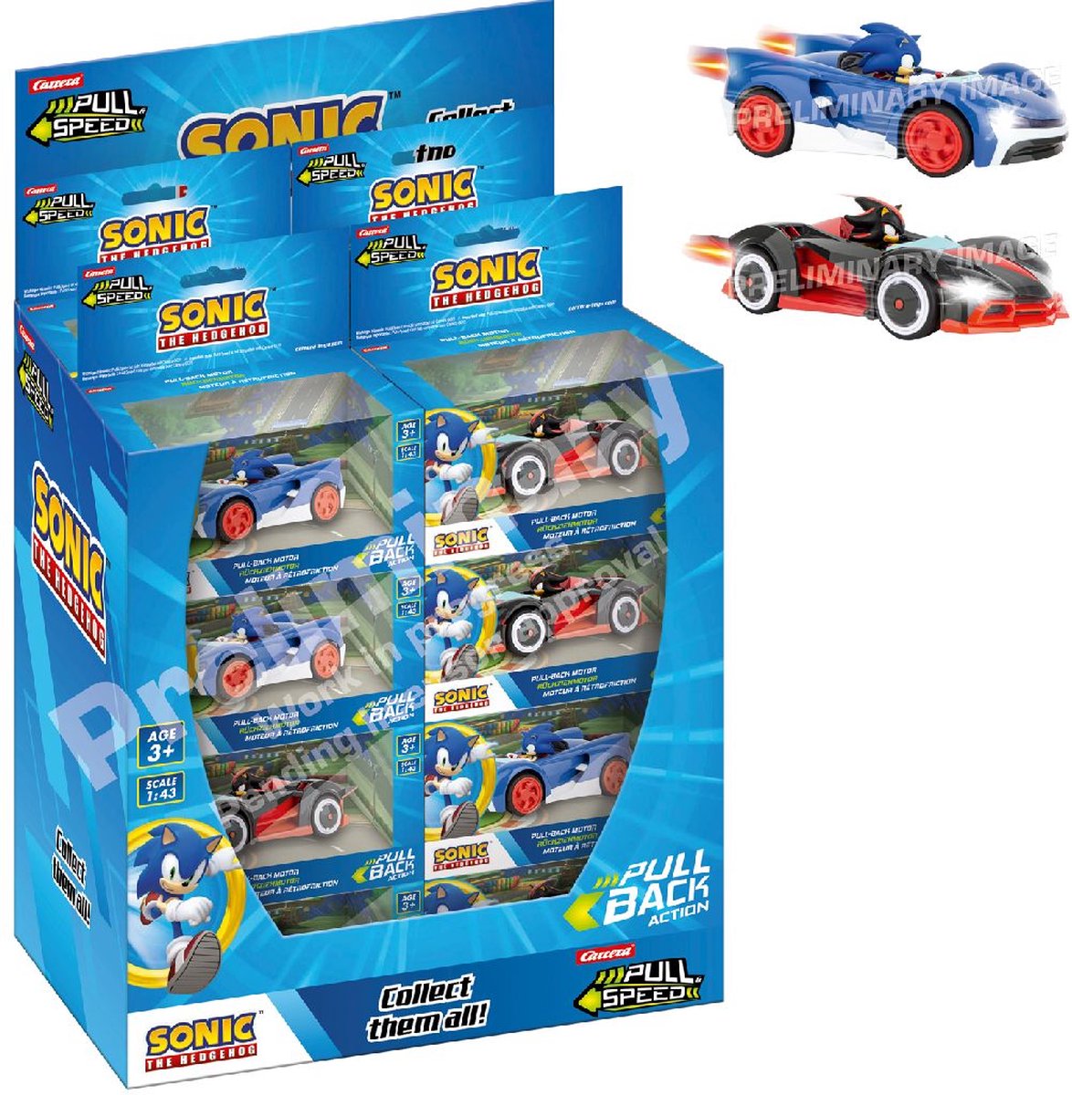   Team Sonic Hedgehog Racing Ass. In Disp.