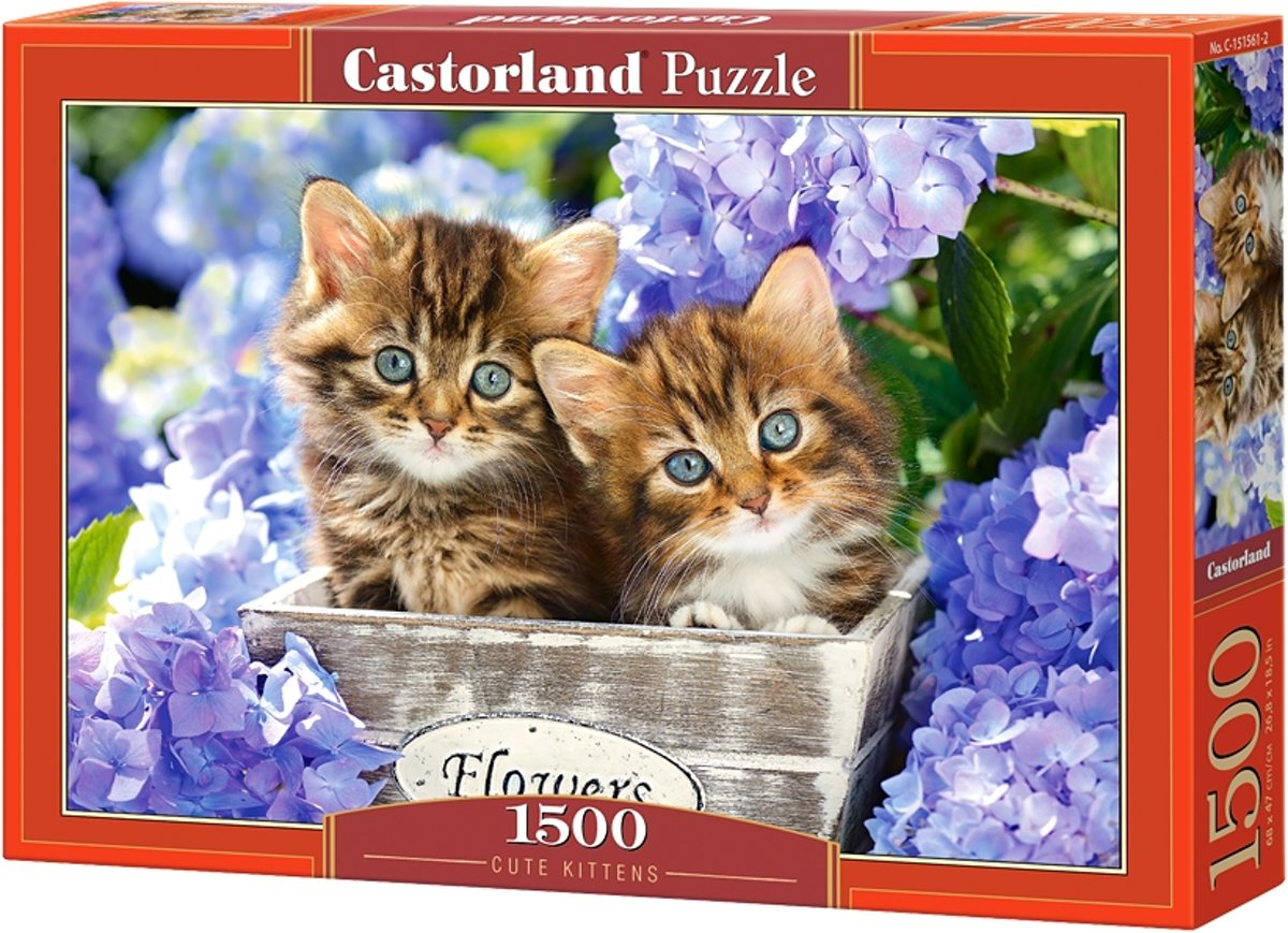 Cute Kittens - 1500 stukjes