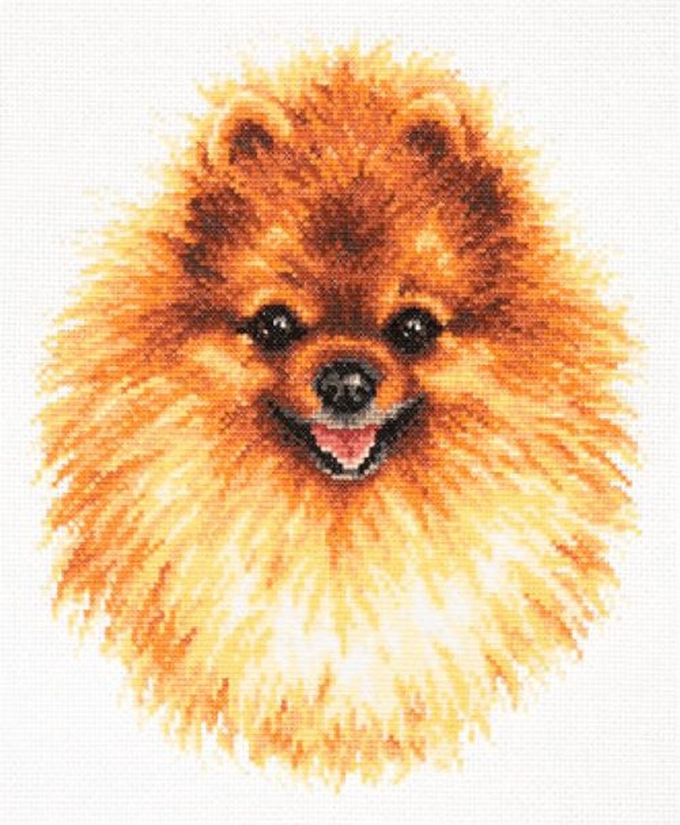 Borduren - Pomeranian - 22x25 cm - Magic Needle (Chudo Igla)