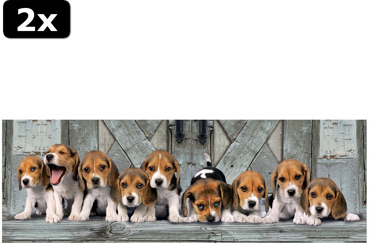 2x Clementoni High Quality Collection Panorama Puzzel Beagles 1000 Stukjes