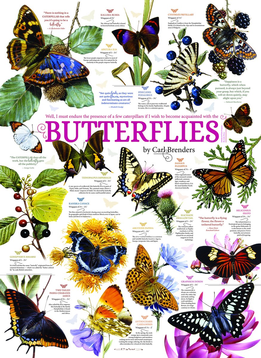 Cobble Hill: Butterfly Collection (1000) verticale puzzel