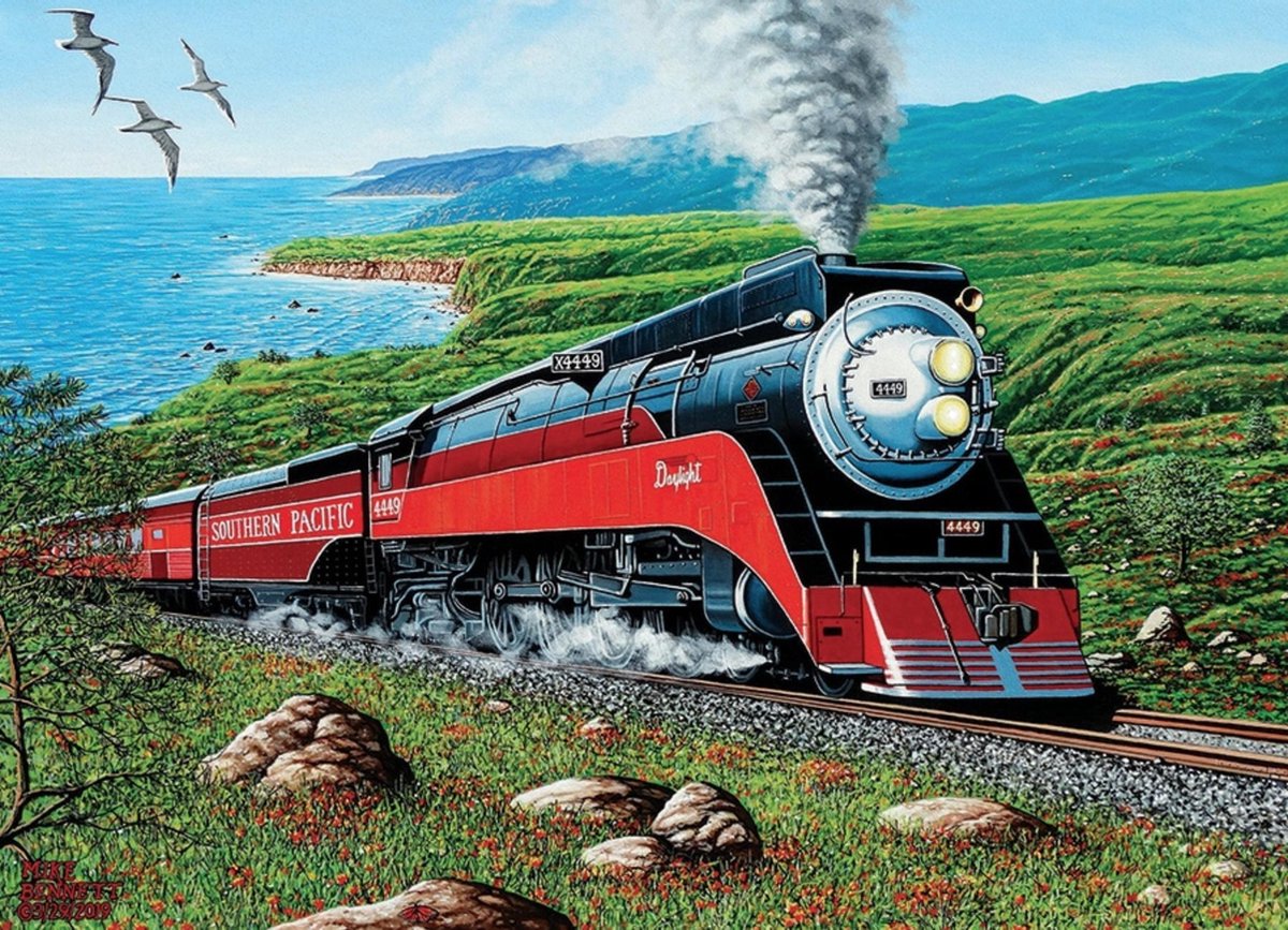 Cobble Hill legpuzzel 1000 stukjes Southern Pacific