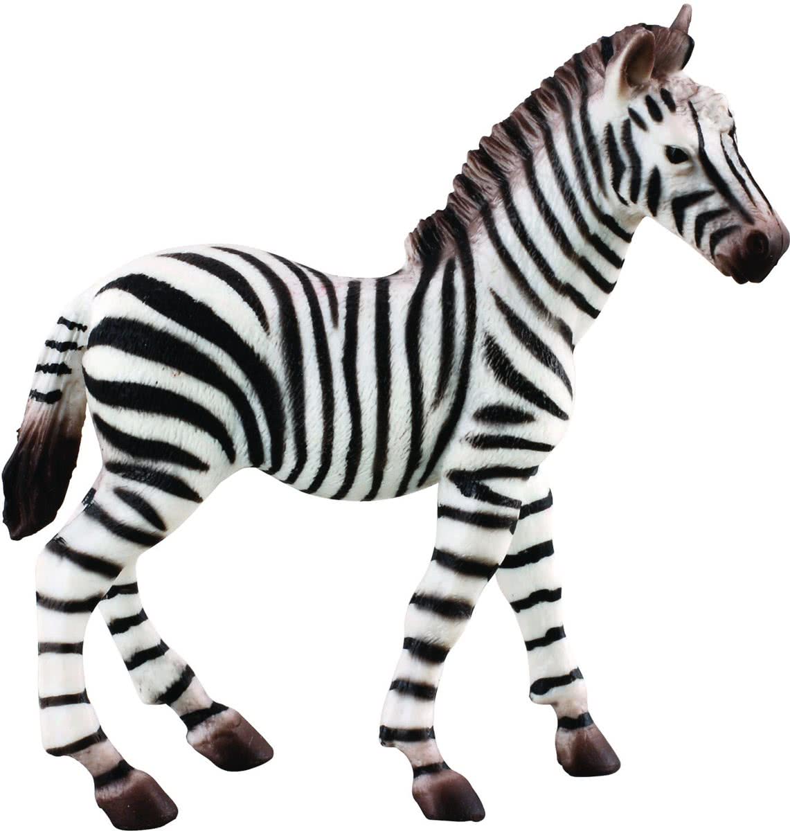 Collecta Wilde dieren zebra veulen 5.5 x 6.5 cm