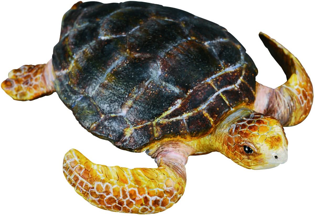 Collecta Zeedieren Schildpad 7 X 1 Cm