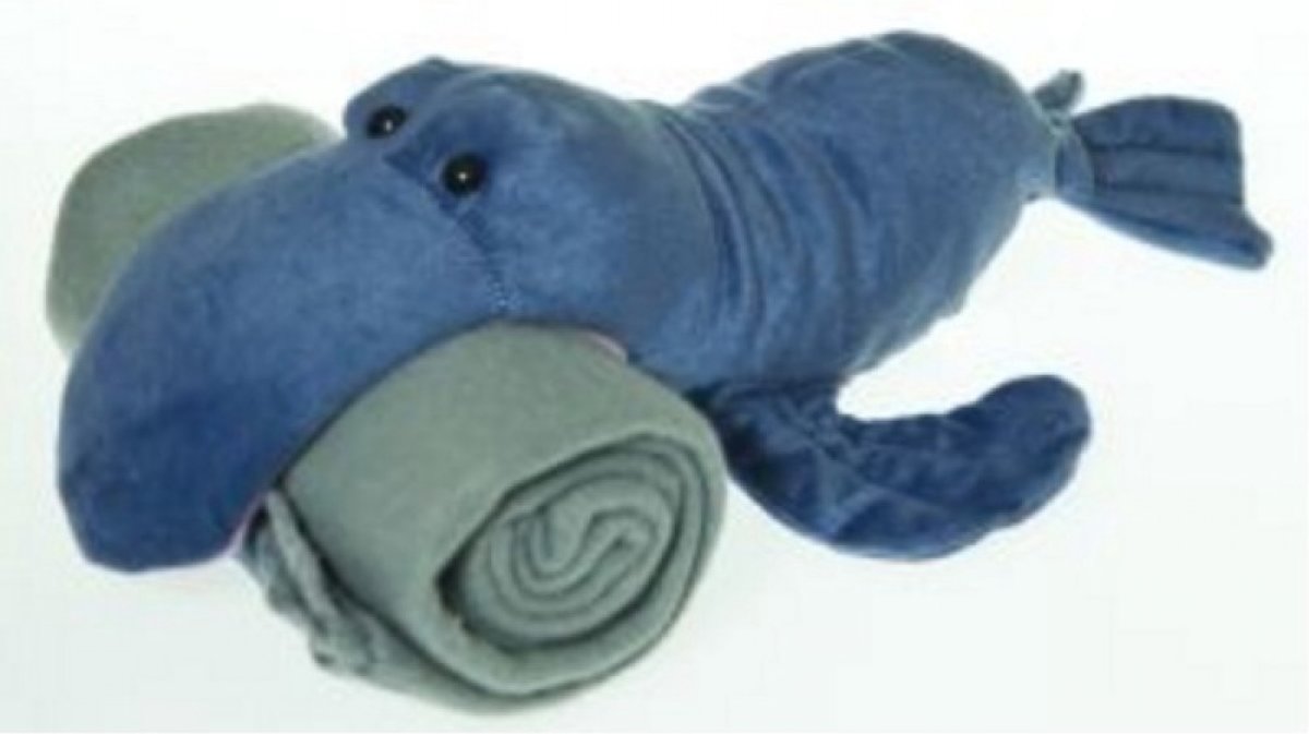 Pluche zeehond knuffel met fleecedeken het ideale kinder knuffel geschenk