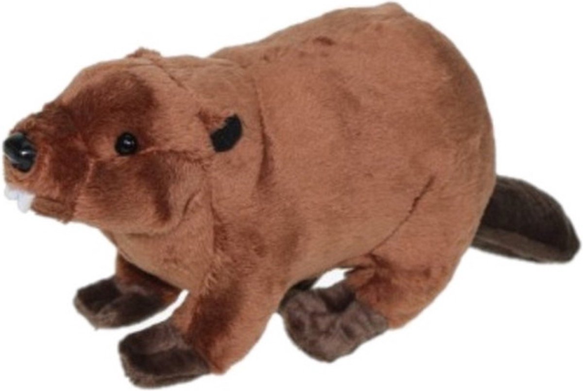 Pluche knuffel dieren bever van 24 cm - nachtdieren