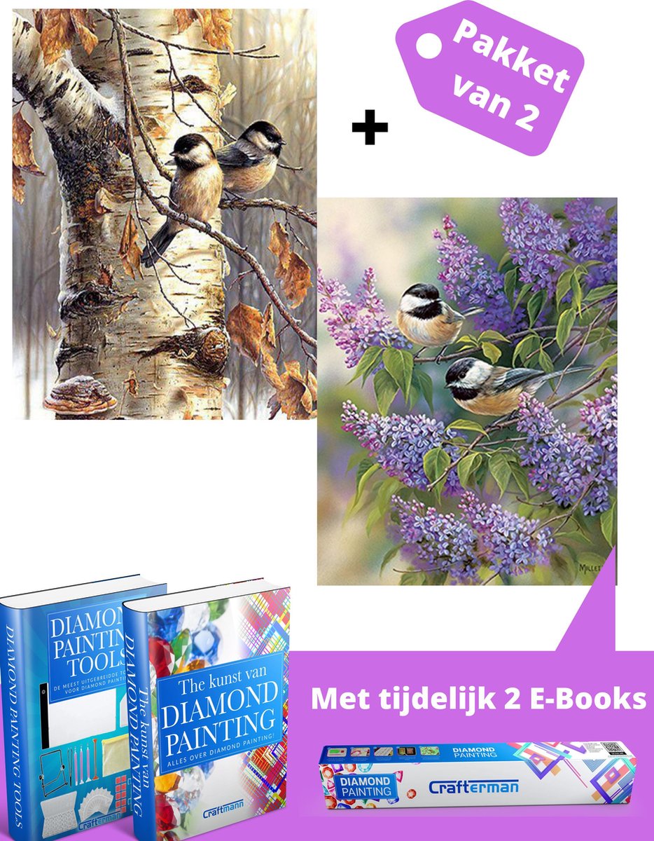 Crafterman Crafterman™ Diamond Painting Volwassenen SET VAN 2 STUKS - Vogels met bloemen & Vogels in de boom - 30x40cm - volledige bedekking - vierkante steentjes  - hobby pakket - Met 2 E-books