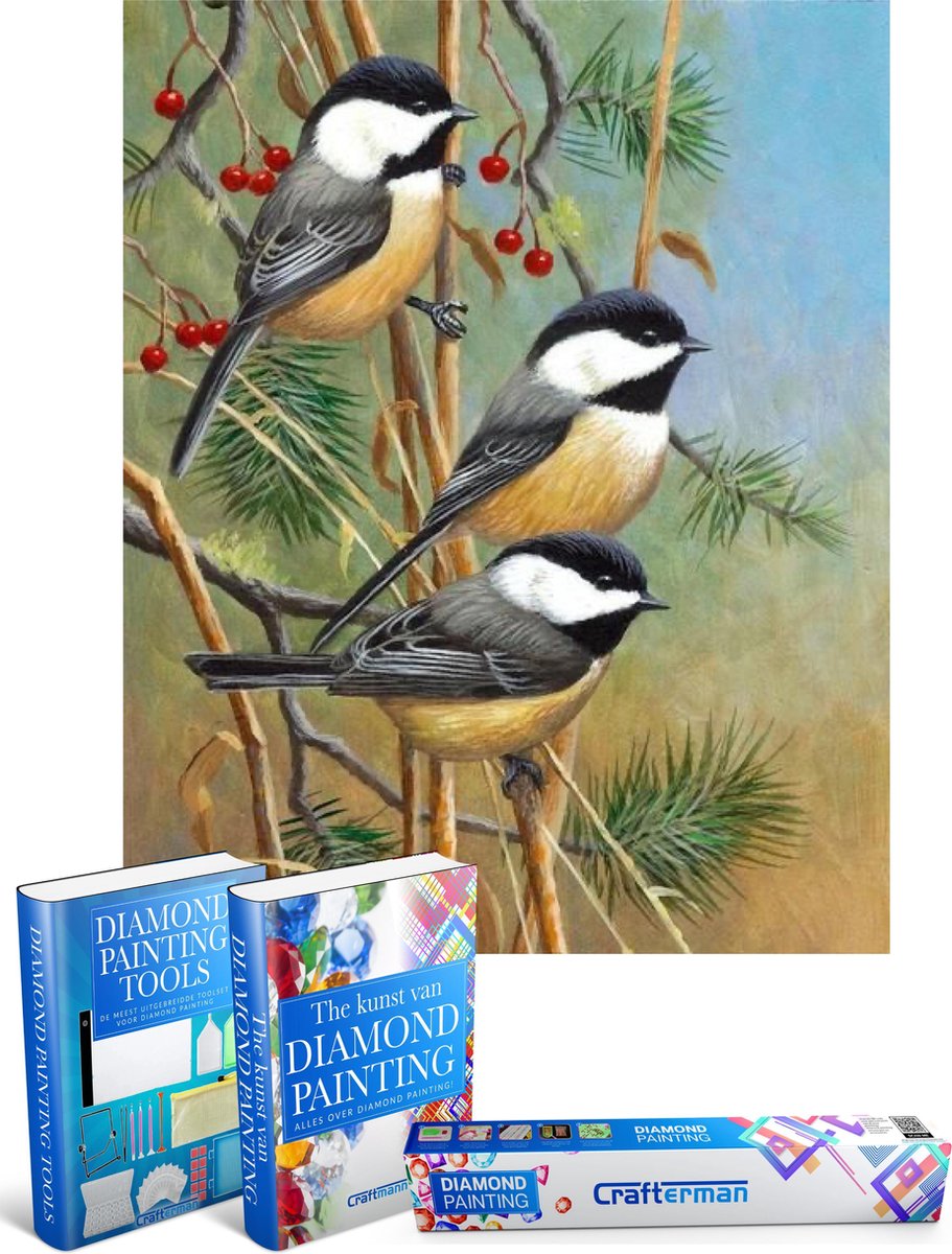 Crafterman™ Diamond Painting Pakket Volwassenen - Vogels op takjes met bessen - 30x40cm - volledige bedekking - vierkante steentjes - hobby pakket - Met tijdelijk 2 E-Books