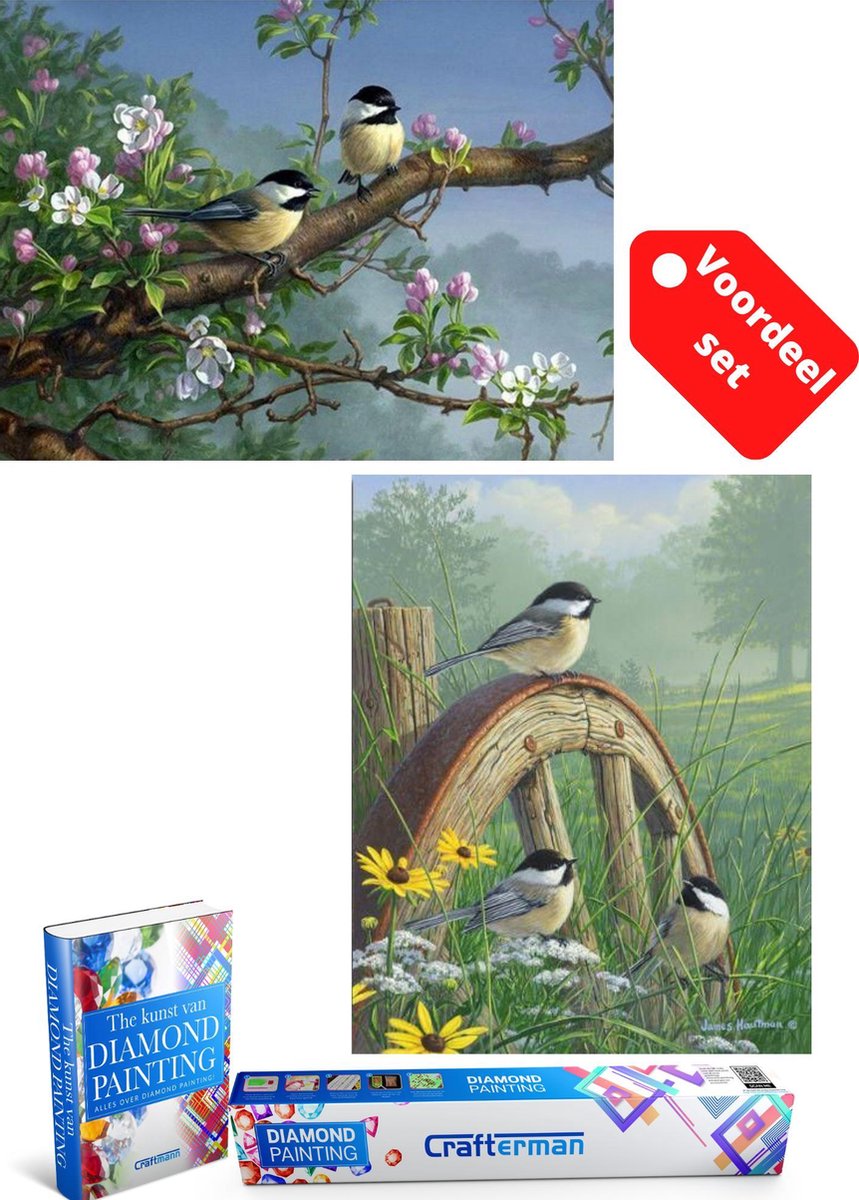 Crafterman™ Diamond Painting Volwassenen VOORDEEL SET VAN 2 STUKS - Vogels met bloemen & vogeltjes op een stronk 30x40cm - volledige bedekking - vierkante steentjes - hobby pakket - Met 2 E-books