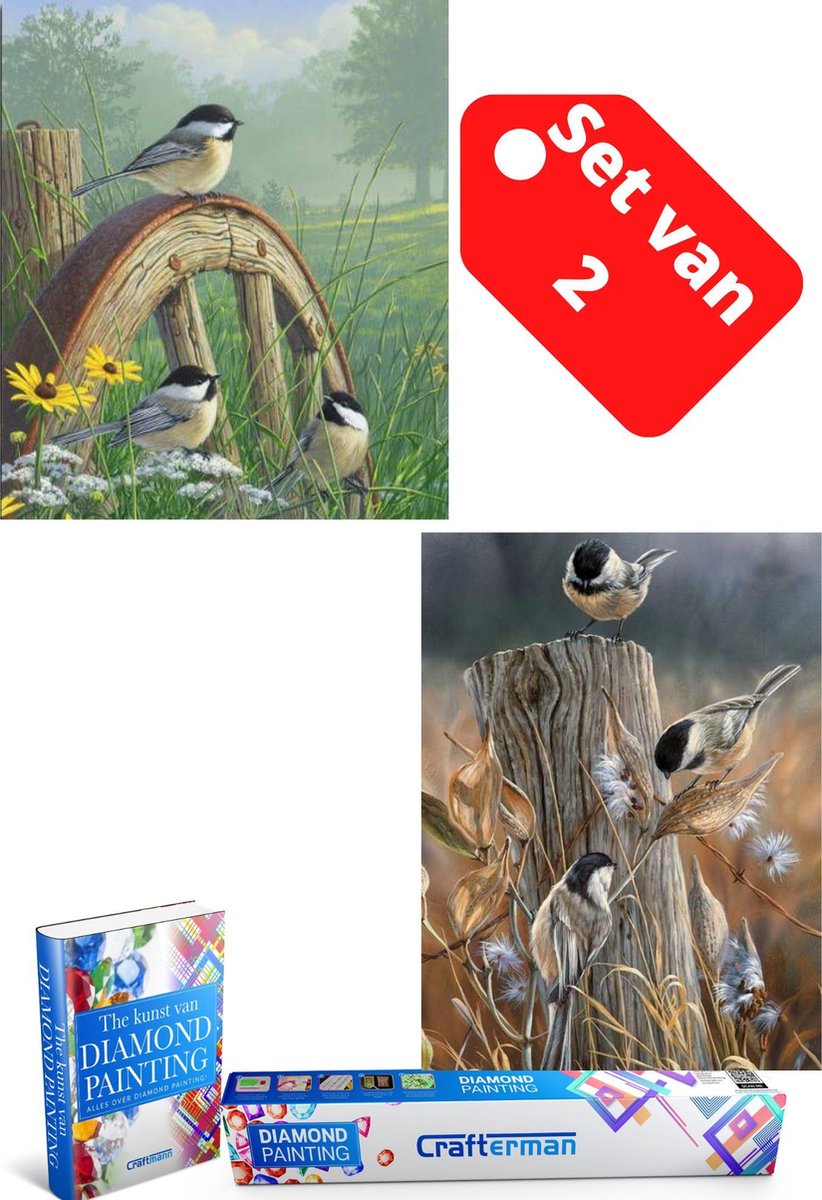 Crafterman™ Diamond Painting Volwassenen VOORDEEL SET VAN 2 STUKS - Vogels op een wiel & vogels op een boomstronk 30x40cm - volledige bedekking - vierkante steentjes - hobby pakket - Met 2 E-books