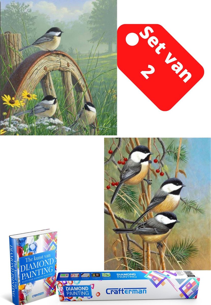 Crafterman™ Diamond Painting Volwassenen VOORDEEL SET VAN 2 STUKS - Vogels op takken & vogeltjes op een wiel 30x40cm - volledige bedekking - vierkante steentjes - hobby pakket - Met 2 E-books