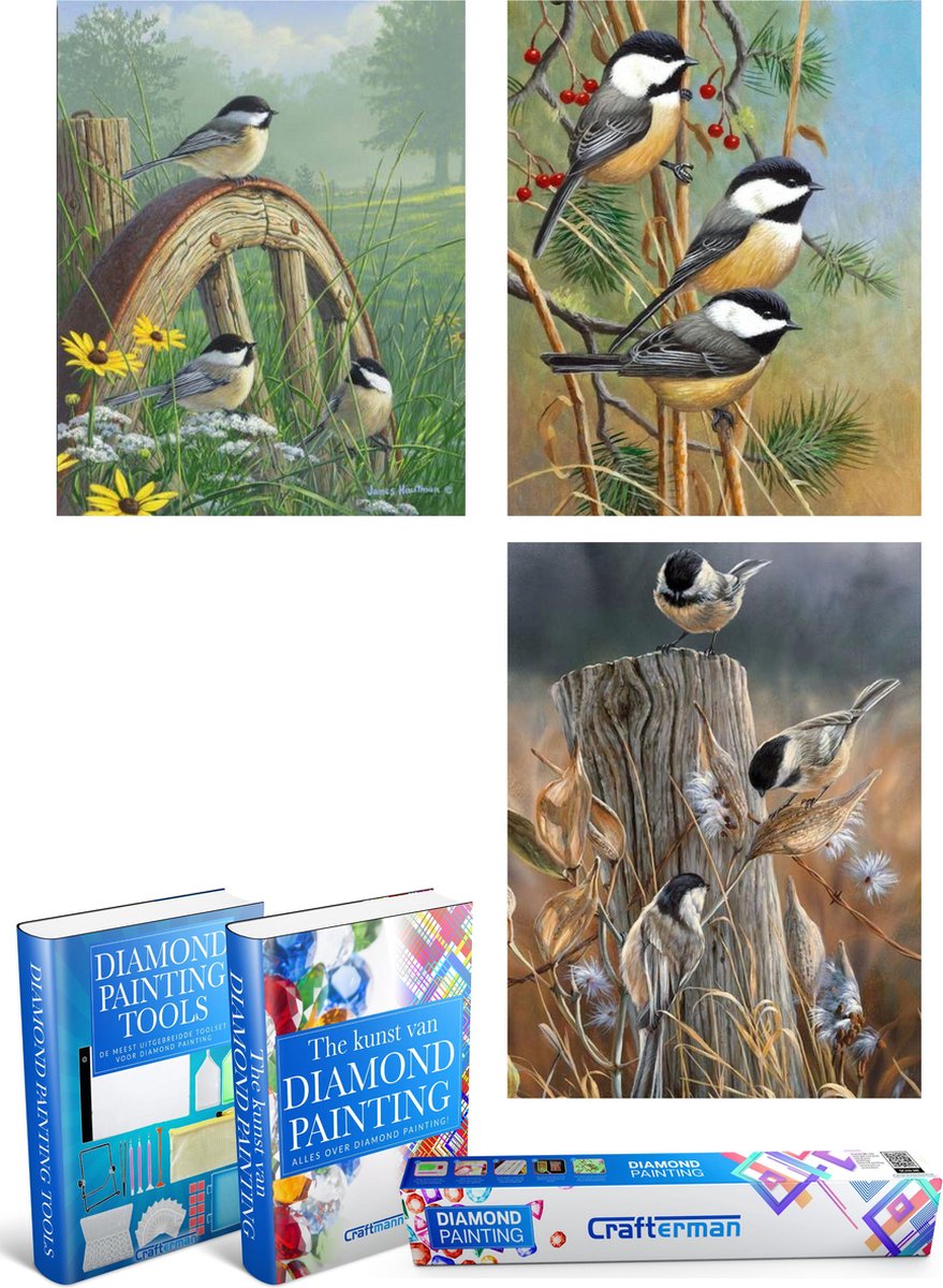 Crafterman™ Diamond Painting Volwassenen VOORDEEL SET VAN 3 STUKS - Vogels op een tak 30x40cm & Vogels op een wiel 30x40cm & Vogels op een boomstronk 30x40cm - volledige bedekking - vierkante steentjes - hobby pakket - Met 2 E-books