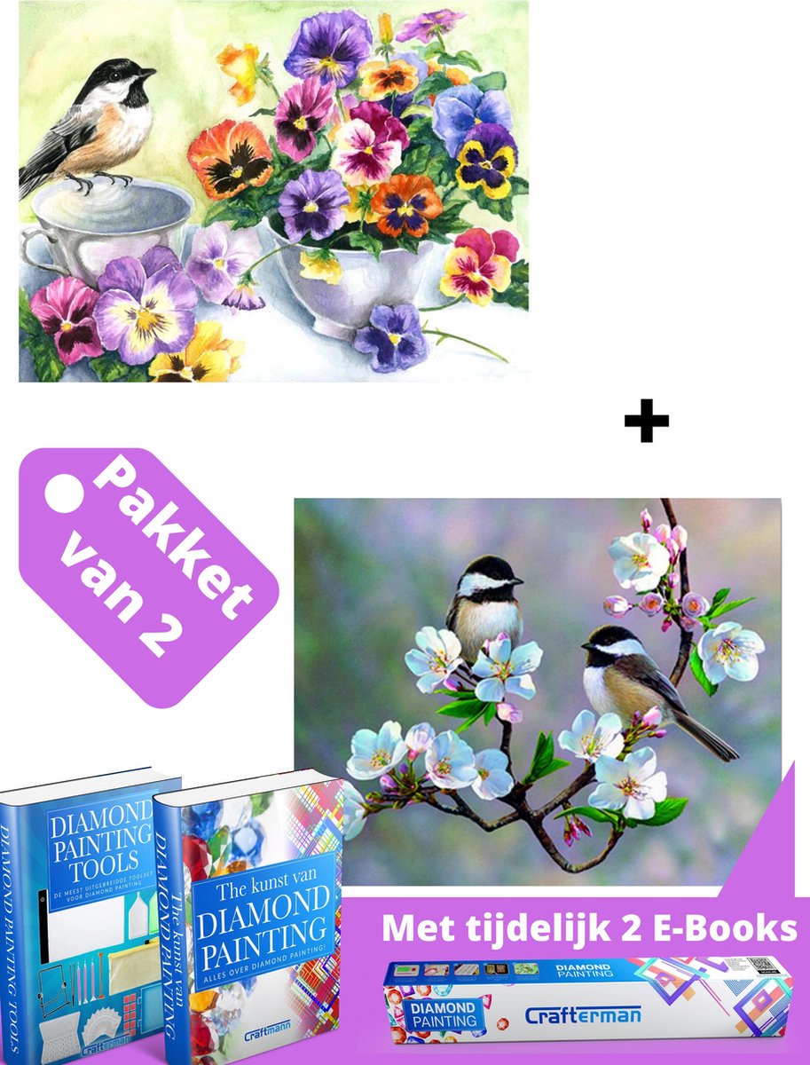 Crafterman™ TIJDELIJKE Diamond Painting Volwassenen VOORDEEL SET VAN 2 STUKS - Vogel met viooltjes & vogeltjes op een tak met bloemen - volledige bedekking - vierkante steentjes - hobby pakket - Met 2 E-books