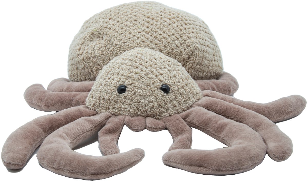 Cute since 1999 - Katoenen Knuffel Spin - Liggende Spin Speelgoed- Baby Knuffel - 25cm