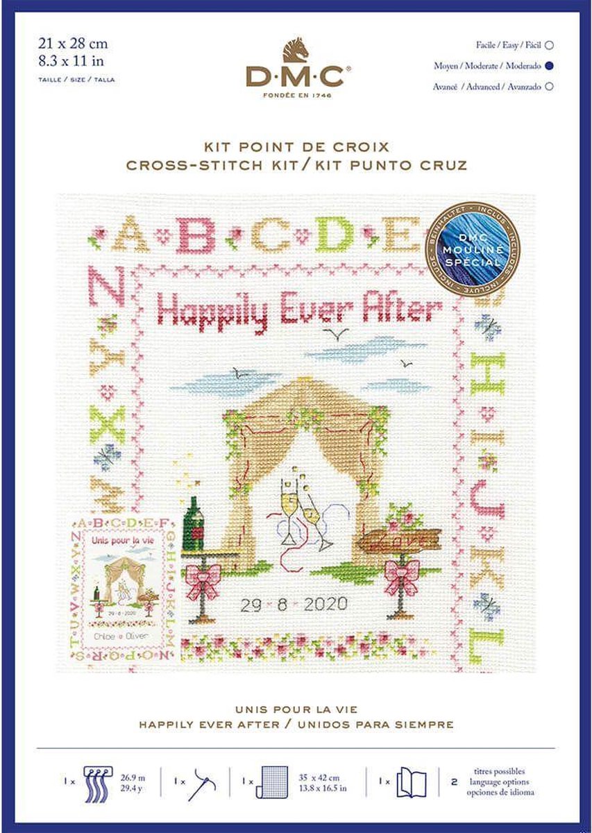 Happily ever after  Aida Borduurpakket DMC