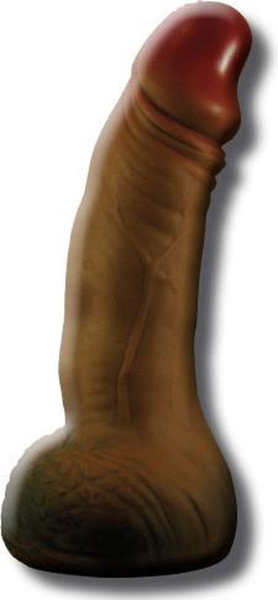 Penis Shaped Piggy Bank Brown 22.5 cm