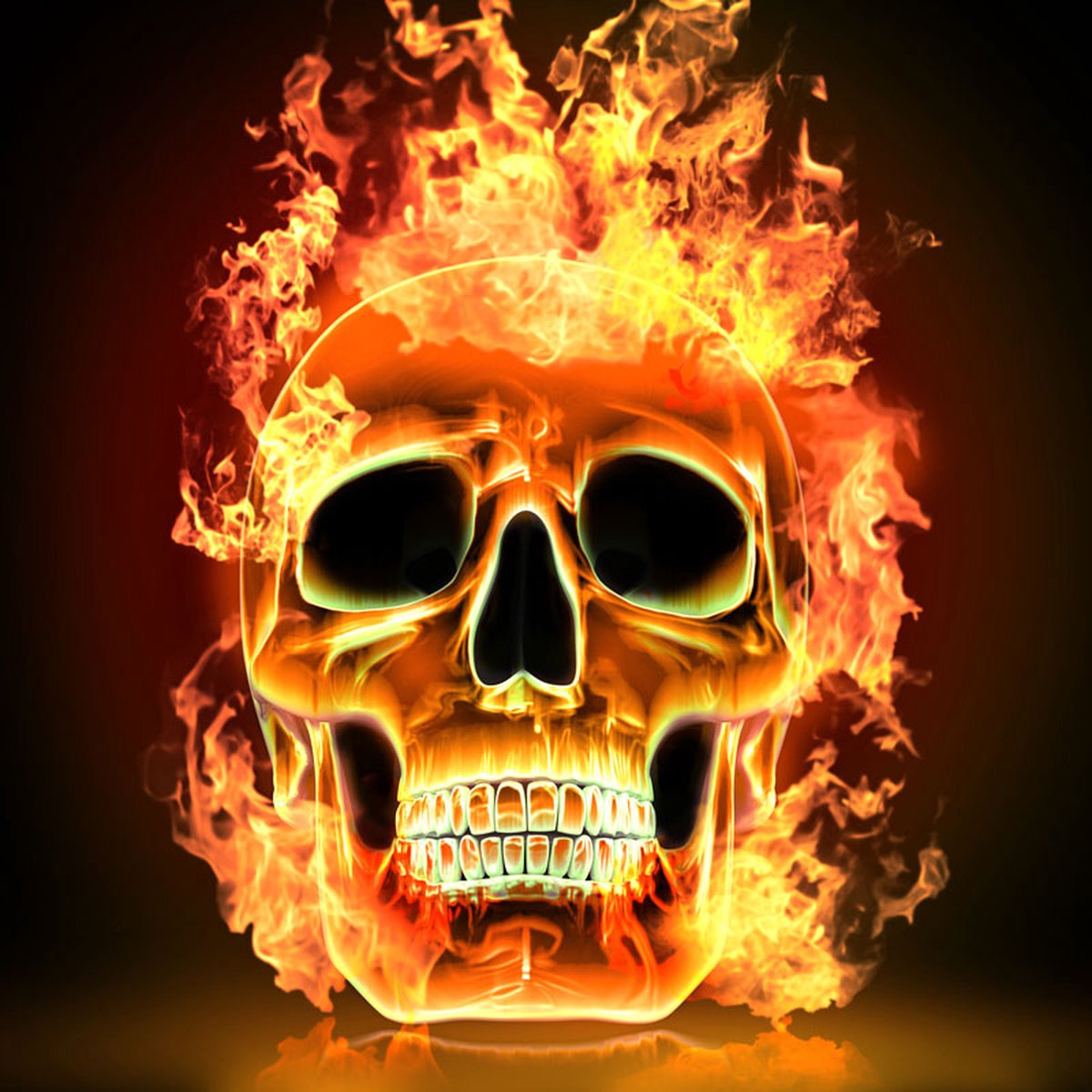 DP Benelux Diamond Painting - Burning Skull  - formaat 100 x 100 cm - Volledige bedekking - Vierkante steentjes in afsluitbare potjes – Gemaakt in Nederland – Hoogste kwaliteit – Snelle levering!