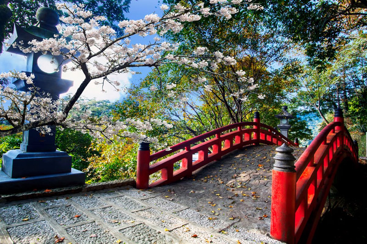 DP Benelux Diamond Painting - Rode Brug in Japans Park - formaat 150 x 100 cm - Volledige bedekking - Vierkante steentjes in afsluitbare potjes – Gemaakt in Nederland – Hoogste kwaliteit – Snelle levering!