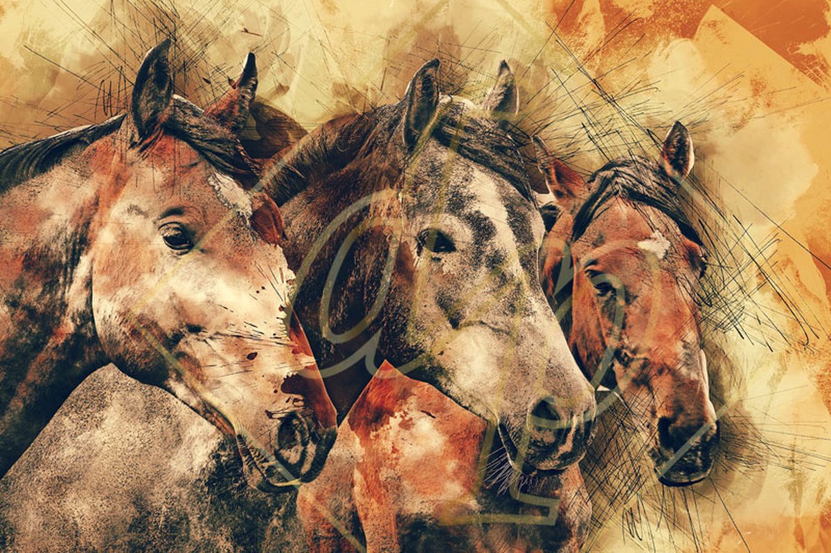 DP Benelux Diamond Painting - Tekening paarden - formaat 120 x 80 cm - Volledige bedekking - Vierkante steentjes in afsluitbare potjes – Gemaakt in Nederland – Hoogste kwaliteit – Snelle levering!