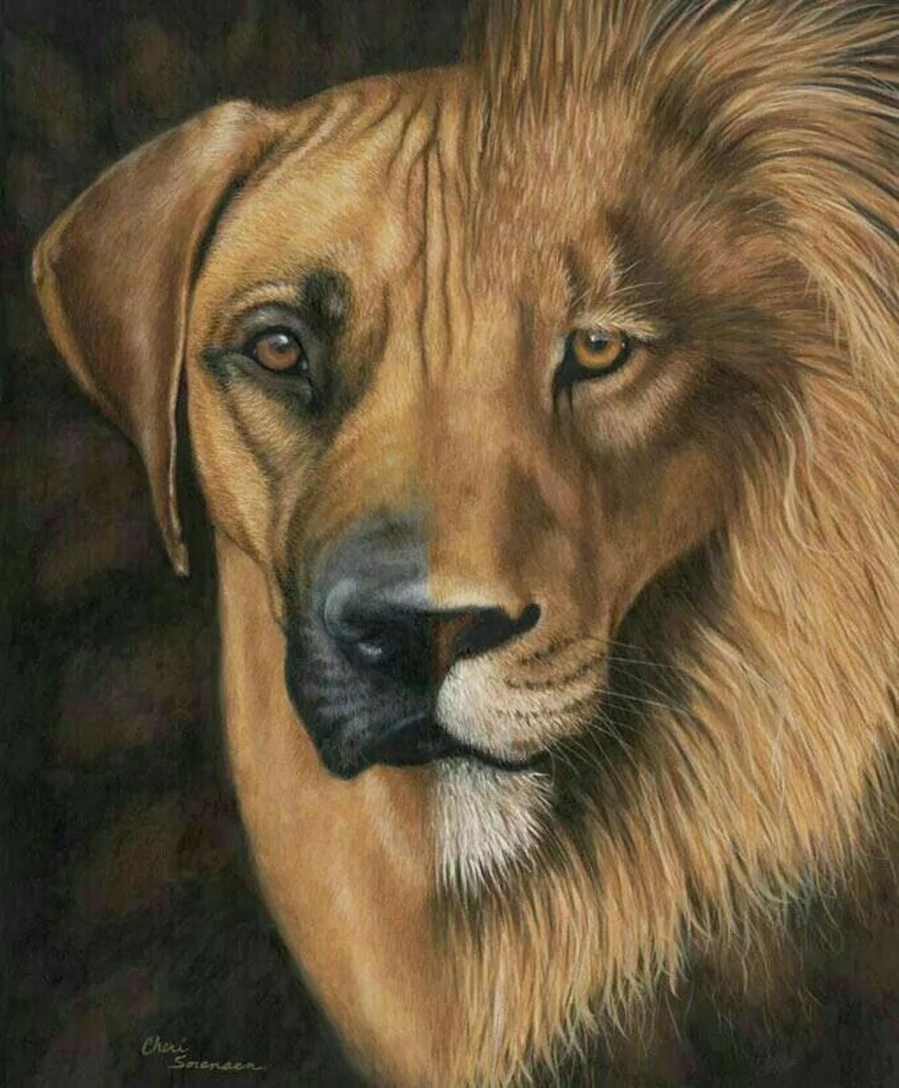 Diamond Painting Rhodesian Ridgeback / Leeuw 50x60 Cm Volledige bedekking vierkante steentjes