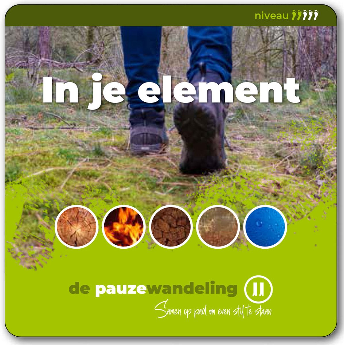 De pauzewandeling thema In je element - coaching - wandelcoaching - kaartspel voor buiten - gesprekskaarten - team - cadeau - training - coachkaarten