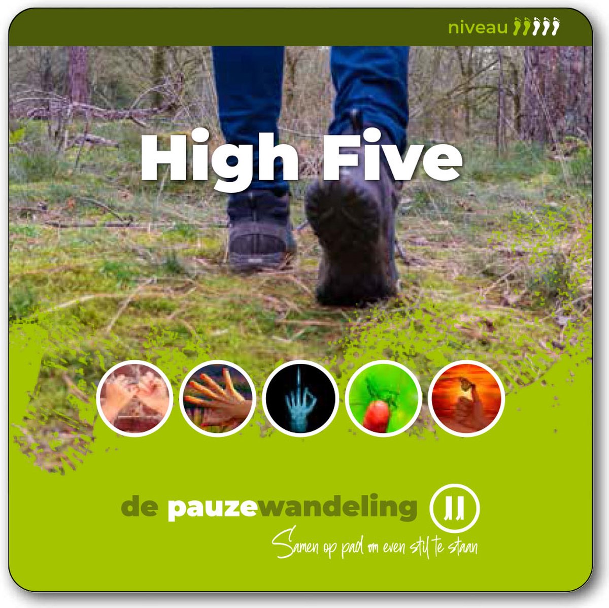 De pauzewandeling thema high five - coaching - wandelcoaching - kaartspel voor buiten - gesprekskaarten - team - cadeau - training