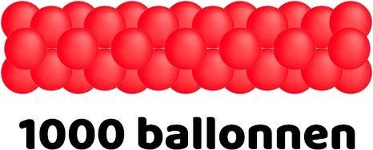 1000 ballonnen ballonslinger