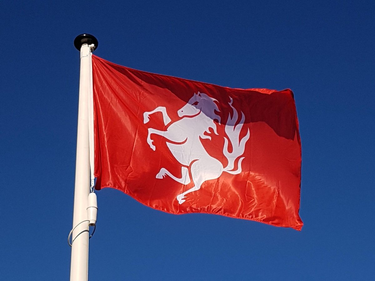 Vlag Twente 225x150 cm. Twentse Ros vlag.