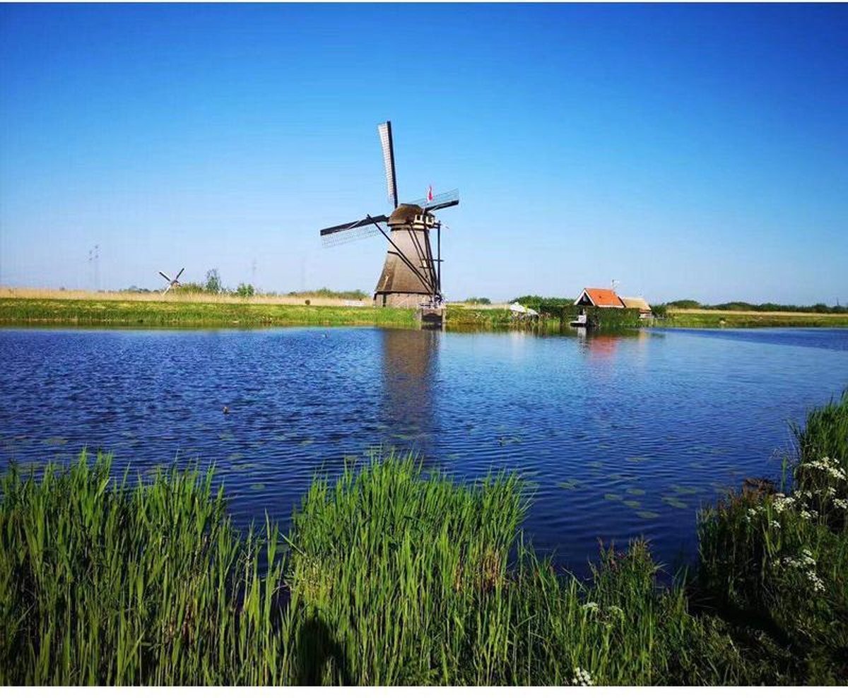 Delki® Windmolen Aan Het Meer Schilderen Op Nummer Volwassenen - 40x50 cm - Houten Penselen -  Gespannen op Frame