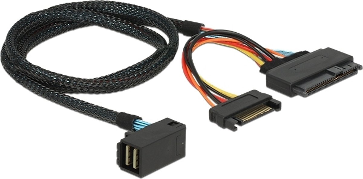 DeLOCK 0.75m, SFF-8643/U.2 SFF-8639+SATA 0.75m