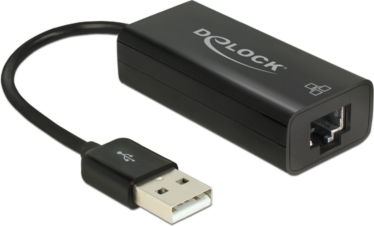 DeLOCK 62595 Ethernet 100Mbit/s netwerkkaart & -adapter