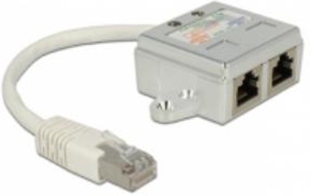 DeLOCK 65224 RJ-45 2 x RJ-45 Wit kabeladapter/verloopstukje