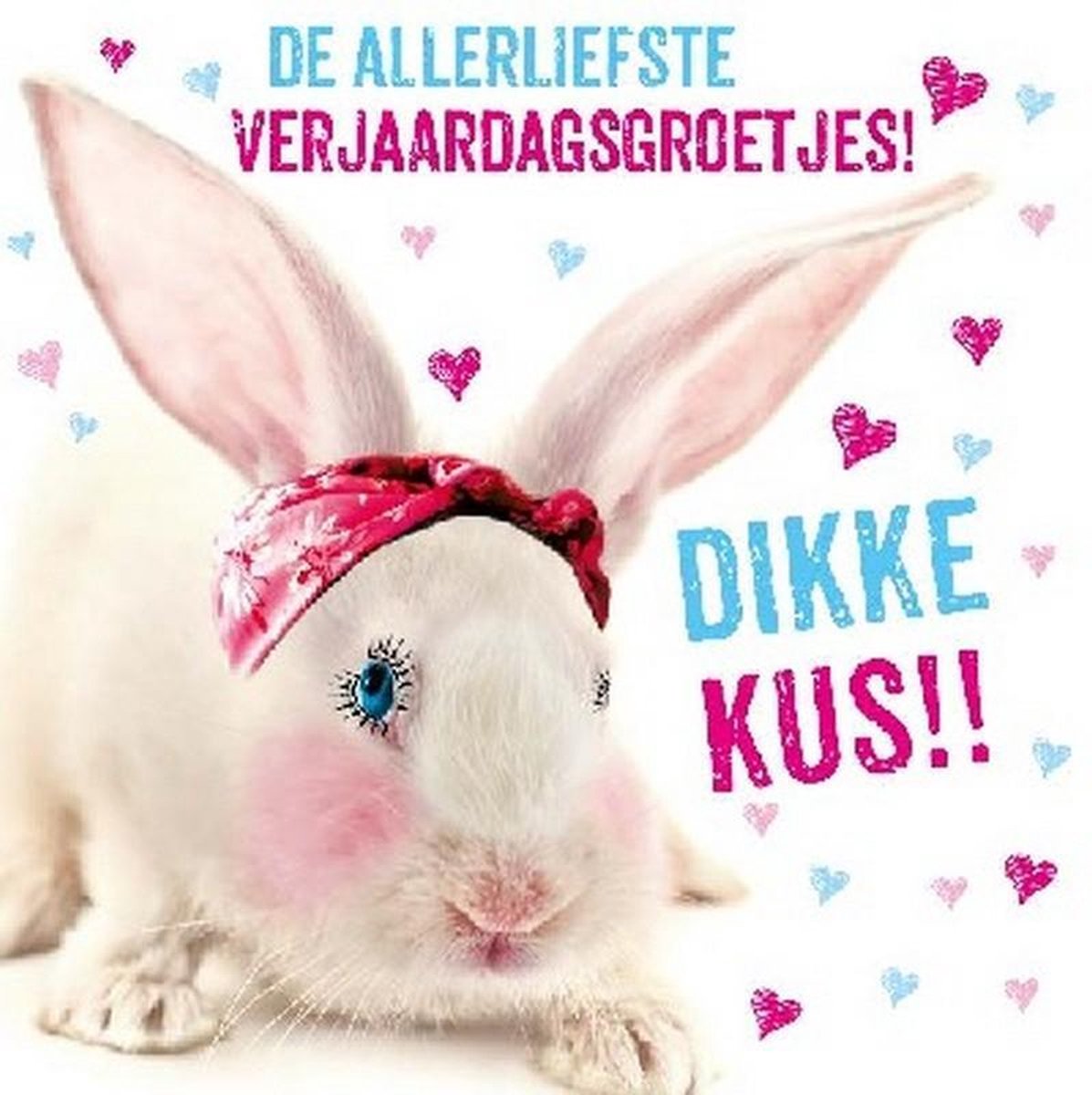 Wenskaart Dierenmanieren De allerliefste verjaardagsgroetjes!...