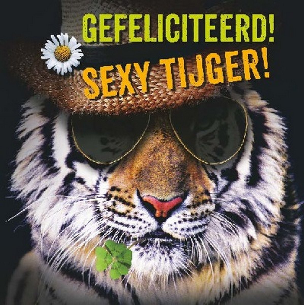 Wenskaart Dierenmanieren Gefeliciteerd! Sexy Tijger!