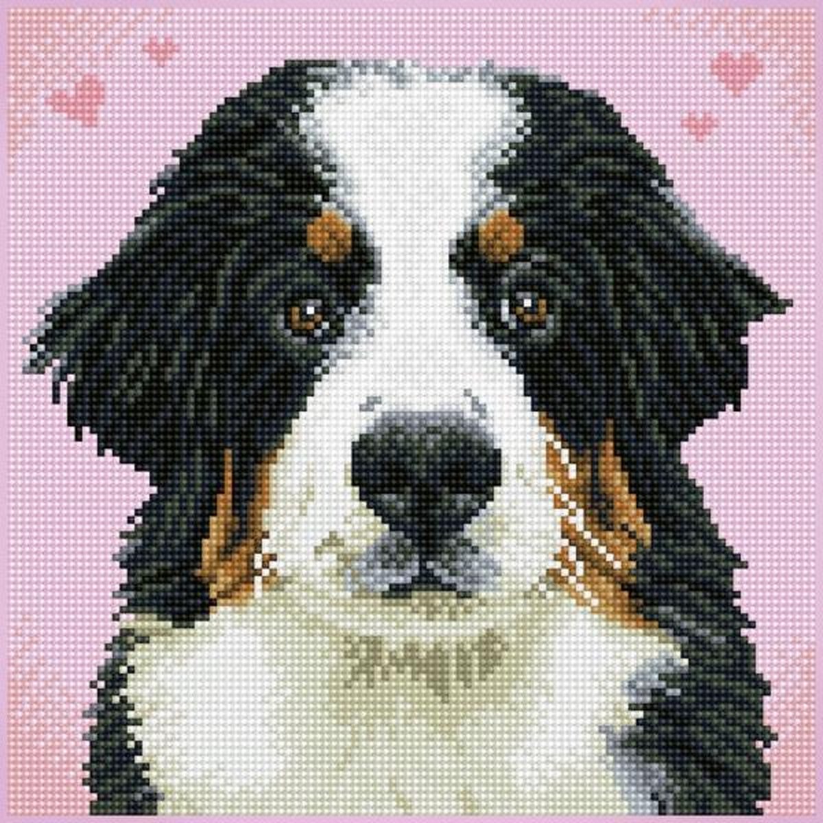 DQK7.001 Diamond Dotz® - Hobby Pakket - Diamond painting volwassenen - Diamond painting met lijst - Berner sennen hond 29 x 29cm - Vierkante steentjes - Diamond painting pakket volledig