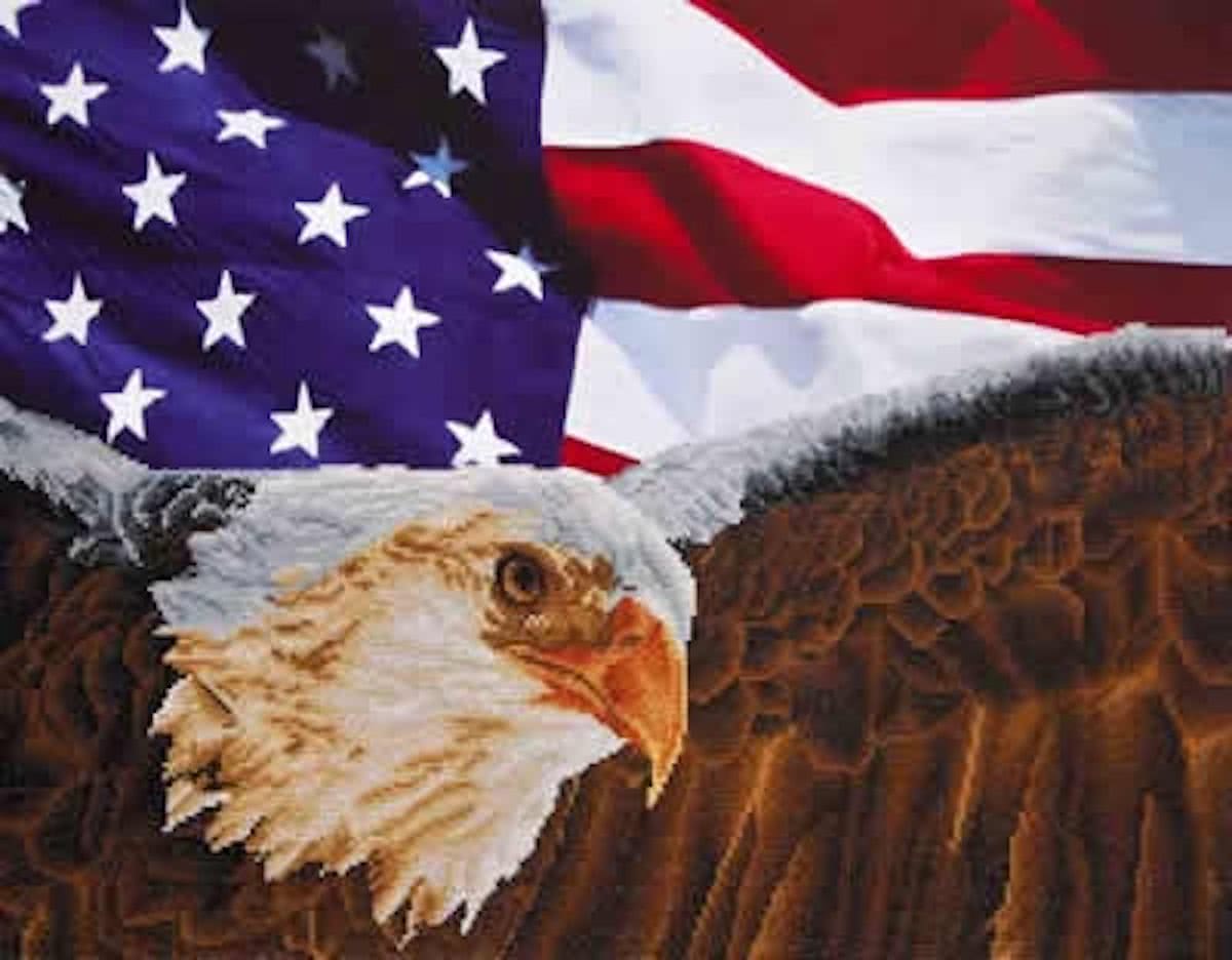 Diamond Dotz   painting Eagle and Flag (71x56 cm)