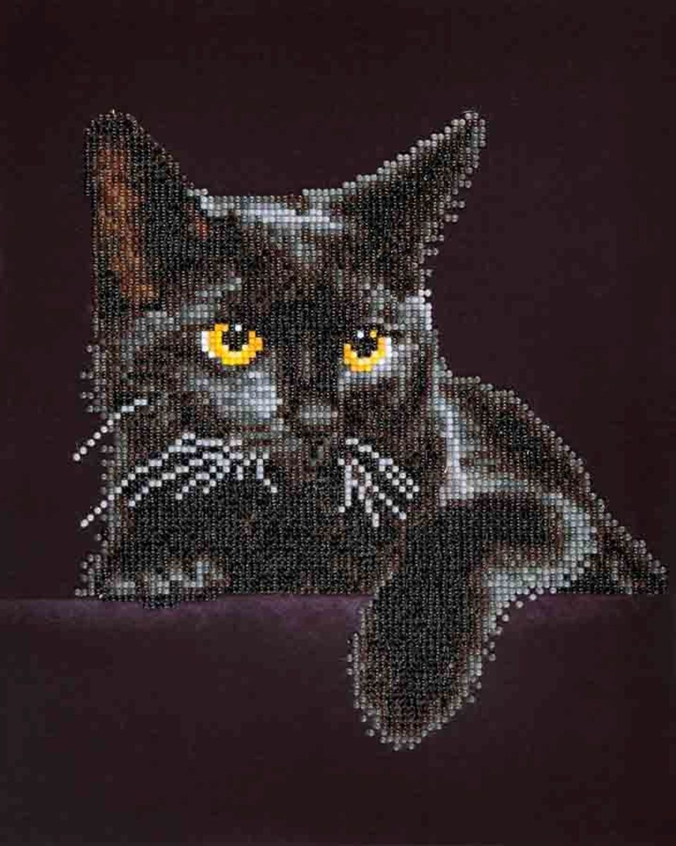 Diamond Dotz ® painting Midnight Cat 28x36 cm - Diamond Painting