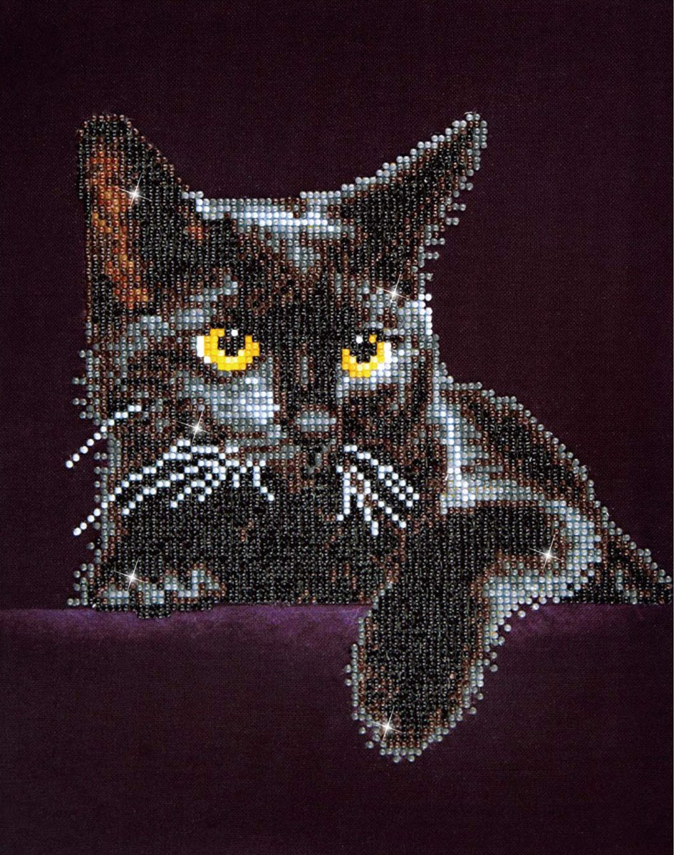 Diamond Dotz� Midnight Cat With Frame: 28x36 cm - Diamond Painting