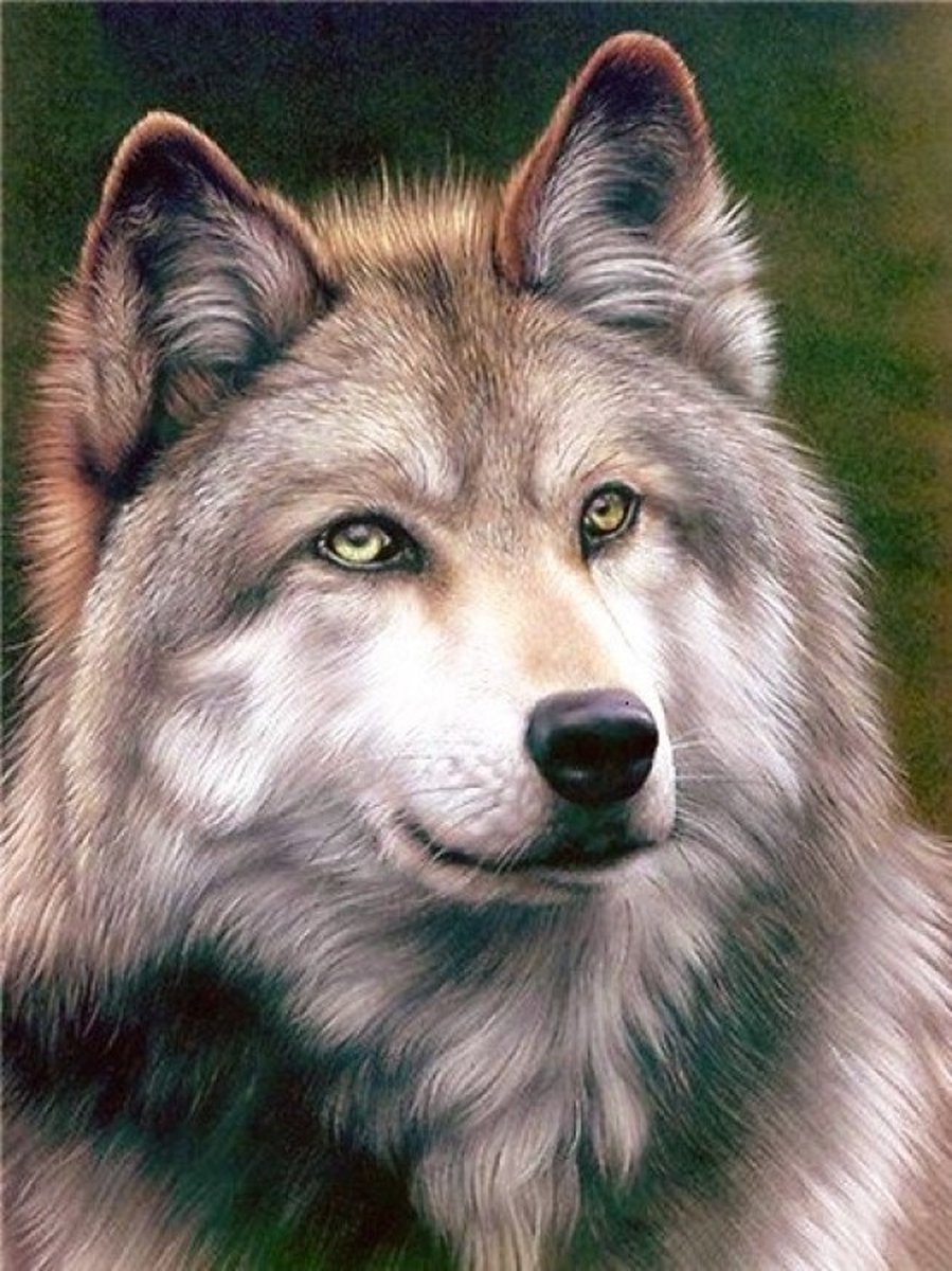 Diamond Painting Volwassenen - Wolf - 45x60 cm - Vierkante steentjes - Compleet Hobbypakket - Volledig te beplakken