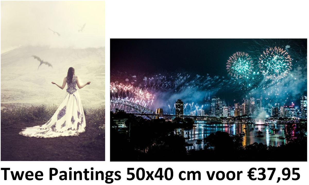 Diamond Painting Pakket - Set van 2 Paintings - Vrouw, Draken en Vuurwerk - Bergen en Canyon - 50x40 cm - Complete Set - Volledige Bedekking - Dielay