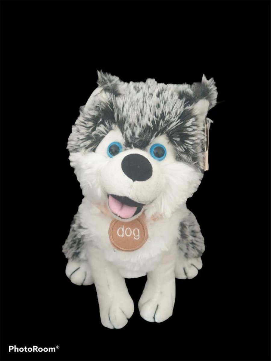 Pluche Husky - SNOWSTAR - 25 CM