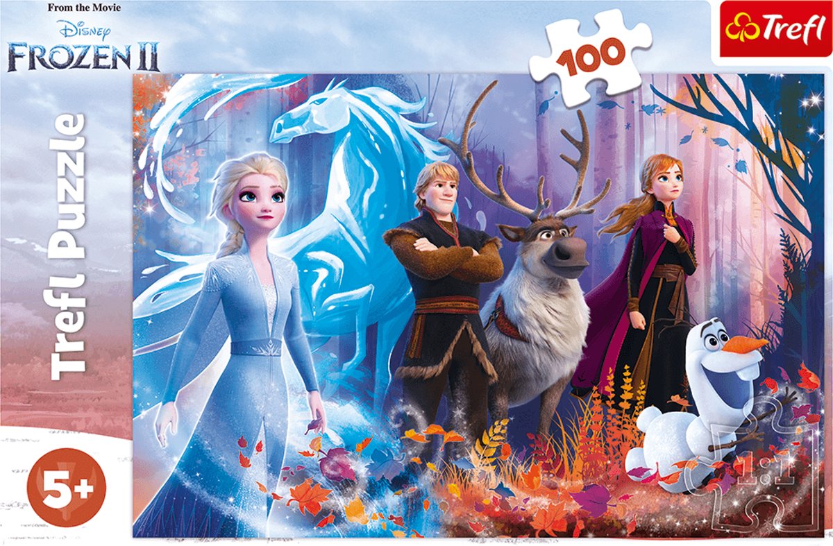 Disney Frozen 2 puzzel 100 stukjes