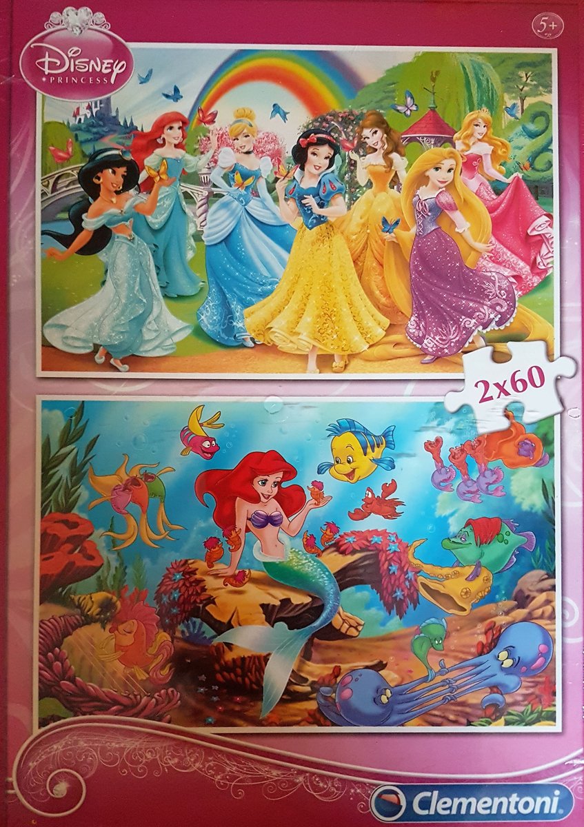 2 puzzels in een doos, disney prinses