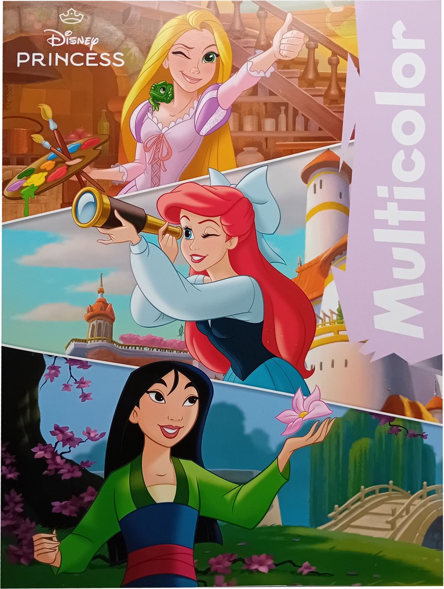 Multicolor kleurboek -   Princess - rapunzel mulan ariel - prinsessen - 17 kleurplaten