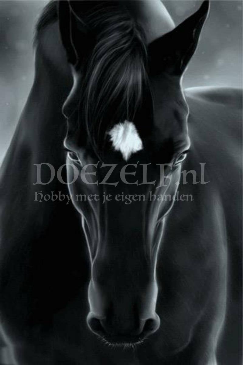 Diamond Painting Black beauty 20x30cm. (Volledige bedekking - Vierkante steentjes) diamondpainting inclusief tools