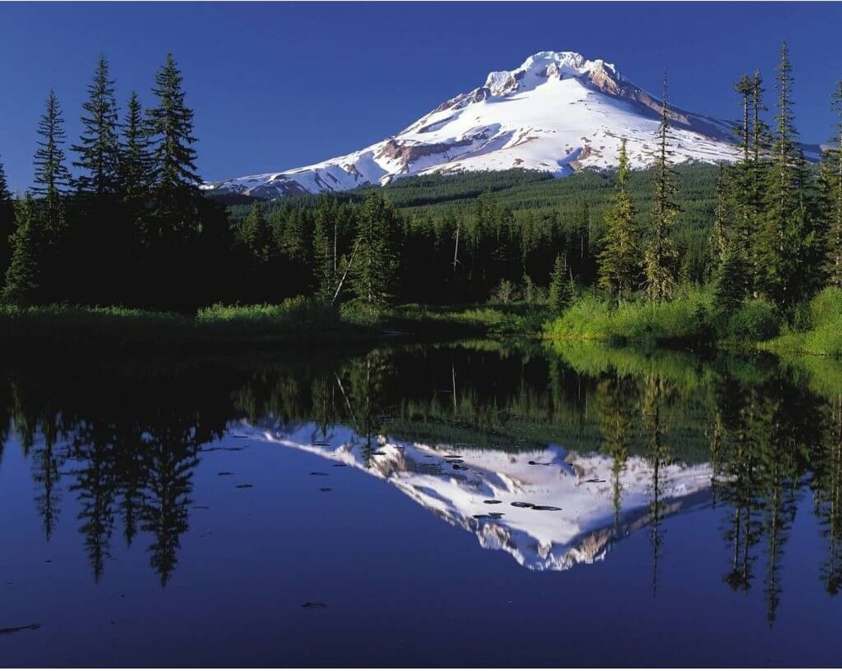 Diamond Painting Mount Hood Oregon USA 40x50cm. (Volledige bedekking - Vierkante steentjes) diamondpainting inclusief tools