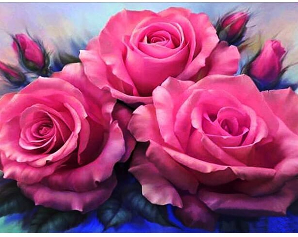 Diamond Painting Roze rozen 16x26cm. (Volledige bedekking - Ronde steentjes) diamondpainting inclusief tools