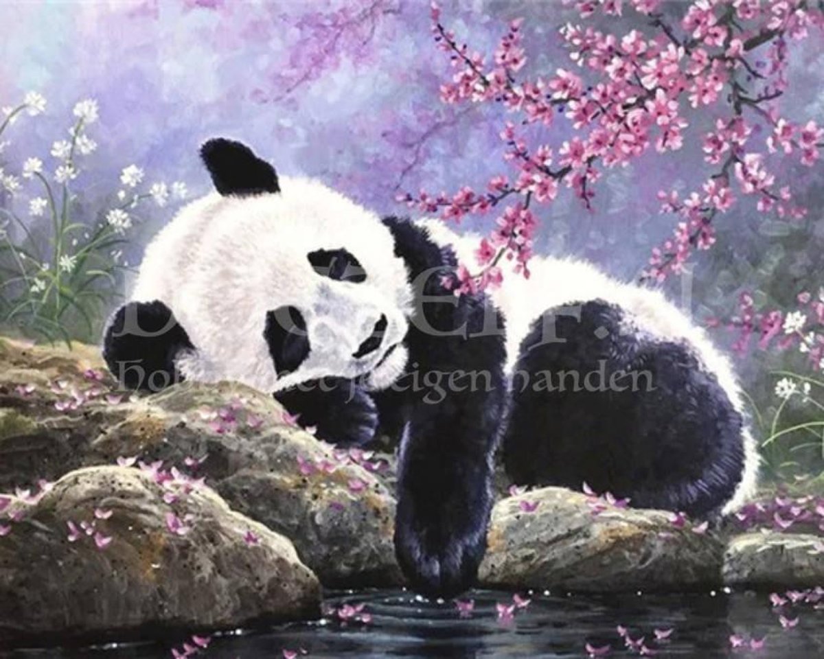 Diamond Painting Slapende panda 20x25cm. (Volledige bedekking - Vierkante steentjes) diamondpainting inclusief tools